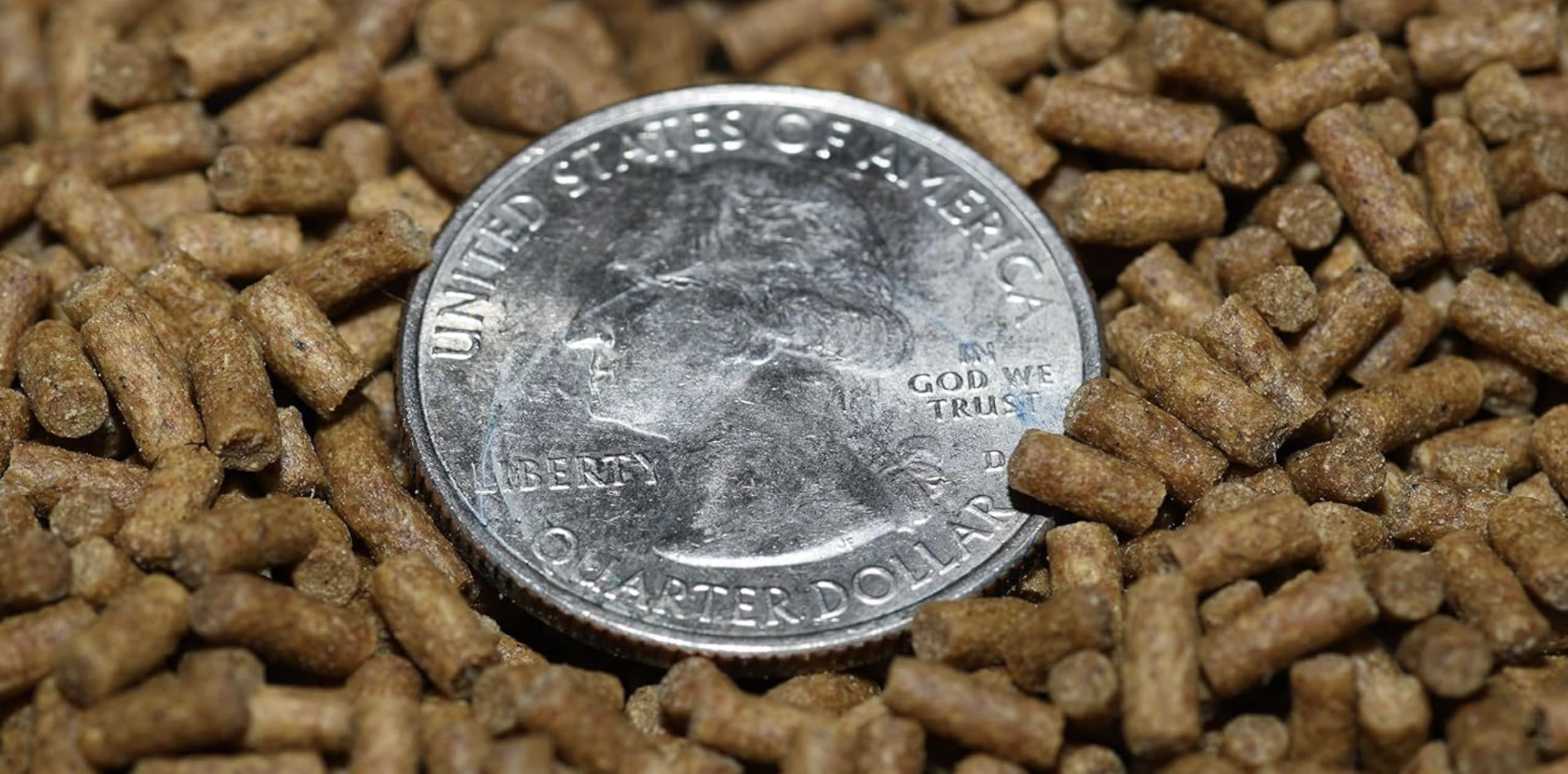 Wpc-Co. 1LB Sinking Pellets for Freshwater Bottom Feeders, Shrimp & Snails – 2.4mm Aquarium Food for Corydoras, Loaches, Plecos, Otocinclus, Nerite, Mystery Snails & Freshwater Shrimp