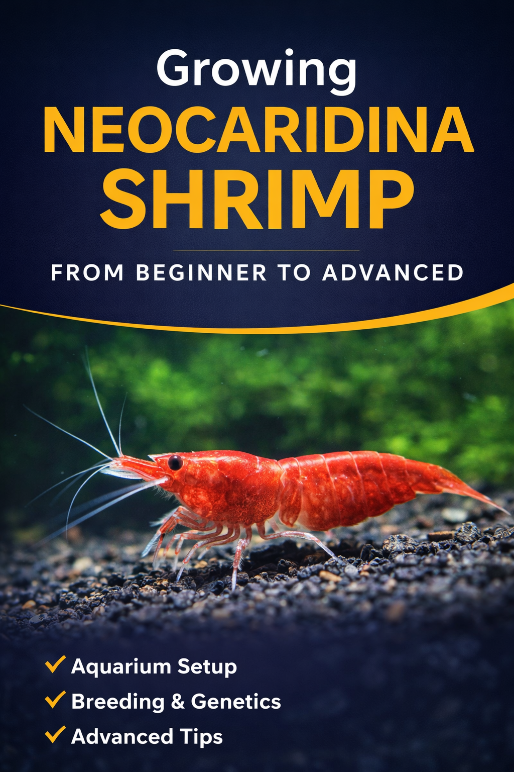 E-Book - Growing NEOCARIDINA SHRIMP: From Beginner to Advanced