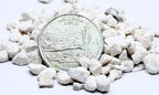 Calcium Bits: Calcium Supplement for Aquatic Pets - Natural Source of Calcium Suitable for Aquariums, Neocaridina Shrimp, Aquarium Snails, Crustaceans, Invertebrates and Other Aquatic Pets 3 oz