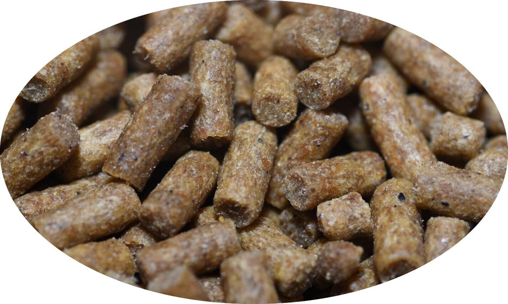 Wpc-Co. Freshwater Shrimp Food | Cherry Shrimp Food | Ghost Shrimp Food | Aquarium Shrimp Food | Shrimp Food Aquarium Freshwater Neocaridina Shrimp Food Pellets | 1.5oz