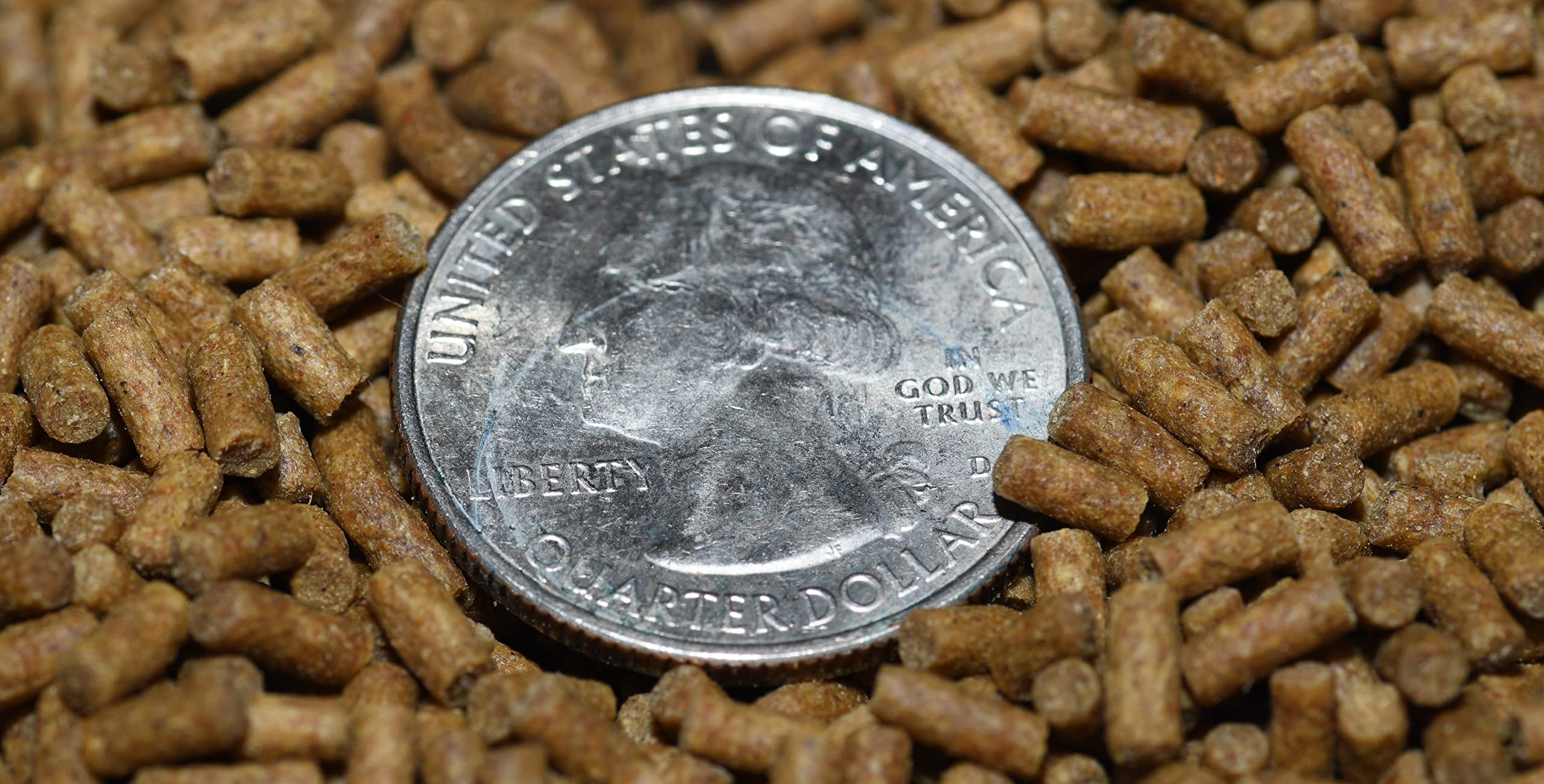 Wpc-Co. Freshwater Shrimp Food | Cherry Shrimp Food | Ghost Shrimp Food | Aquarium Shrimp Food | Shrimp Food Aquarium Freshwater Neocaridina Shrimp Food Pellets | 1.5oz