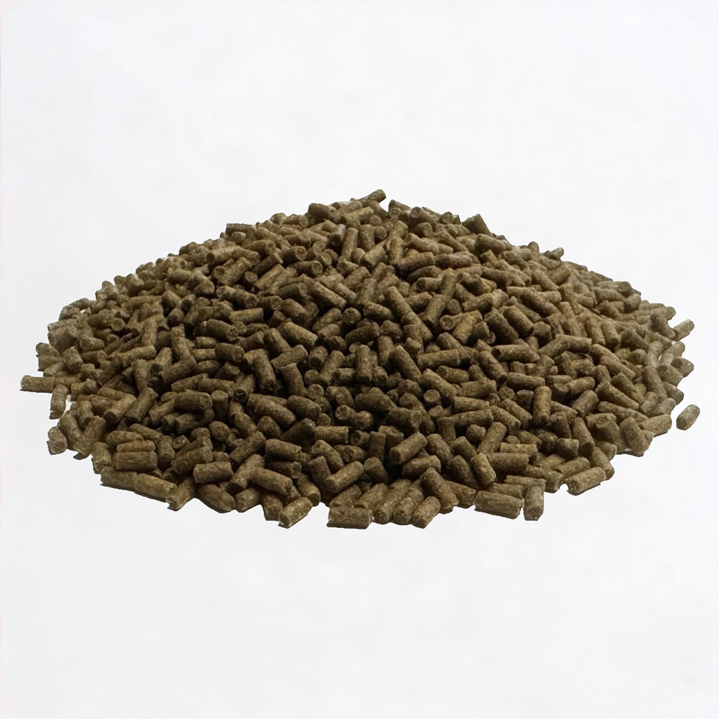 Wpc-Co. Freshwater Shrimp Food | Cherry Shrimp Food | Ghost Shrimp Food | Aquarium Shrimp Food | Shrimp Food Aquarium Freshwater Neocaridina Shrimp Food Pellets | 1.5oz